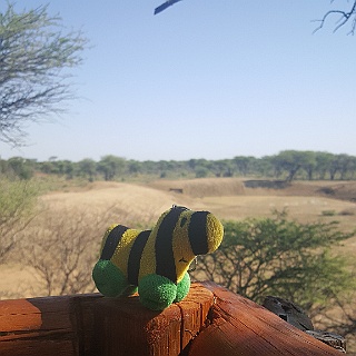 2017 Namibia  2017 Namibia